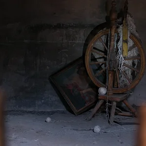 Удивительная находка