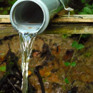 Родник