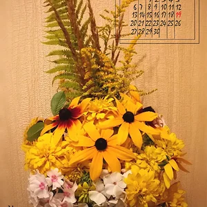 19 ноября
