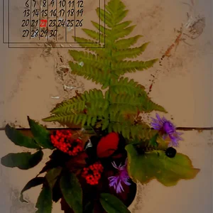 22 ноября
