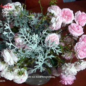 27 ноября