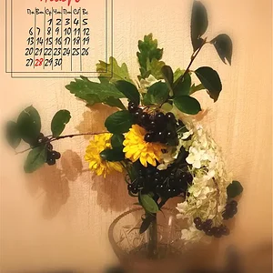 28 ноября