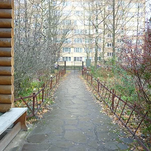 Осень в моем дворе