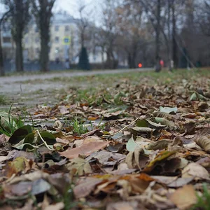 Московская Осень