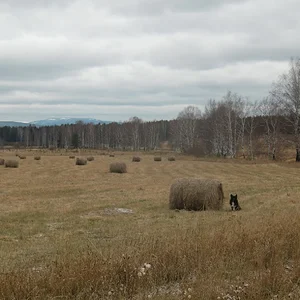 Осень