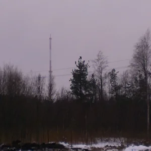 День 2