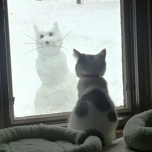 тссс