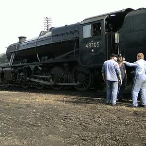 26335333SqQ.jpg