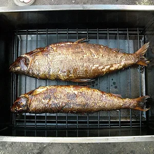 DSCN0590.JPG