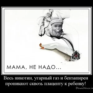 1248379533_6.jpg