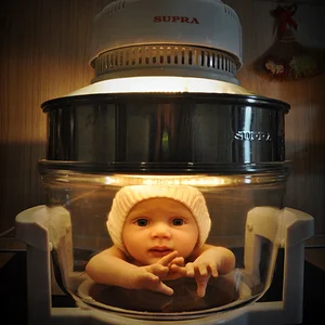 Медиа 'Инкубатор)))' в категории '7. Обычные вещи в необычных местах.'