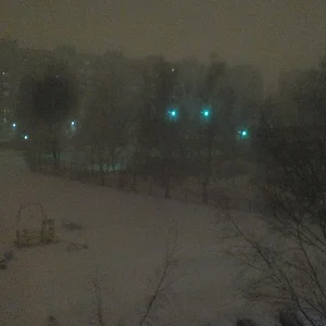 ночь белая от снега.....
