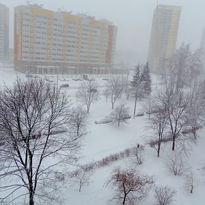 Зима пришла