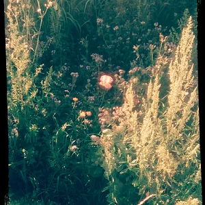 Медиа 'Аленький' в категории 'Внеконкурсный Альбом'