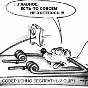 Мышь и бесплатный сыр