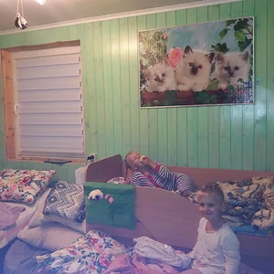 Укладываемся спать