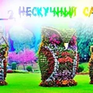 Сад 2
