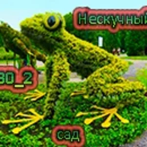 Лягушка 2