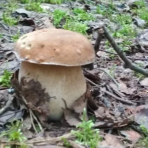 Ещё не нашелся