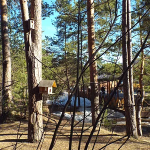 Соседи