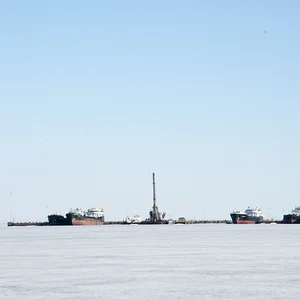заждались открытой воды