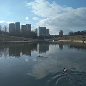 И снова парк