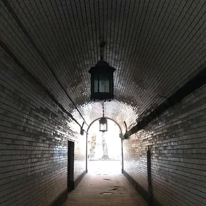 Cвет.