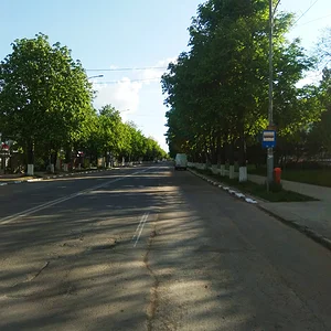 Каштаны