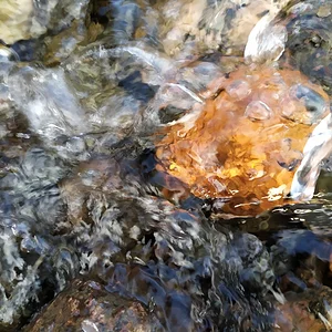 Вода и Камень