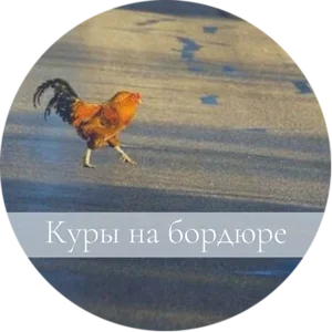 1790_oooo.plus.png