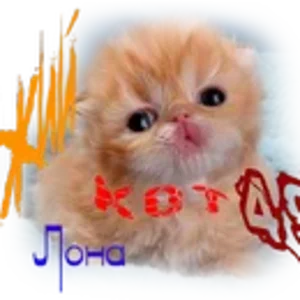 Рыжий кот Л.png