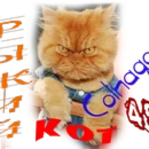 Рыжий кот С.png