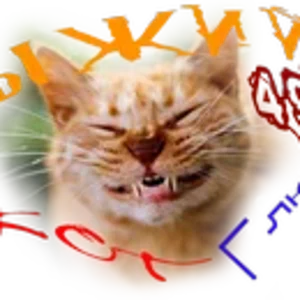 Рыжий кот Г.png