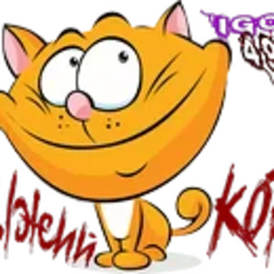 Рыжий кот IGOS.png
