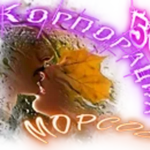 KM1.png