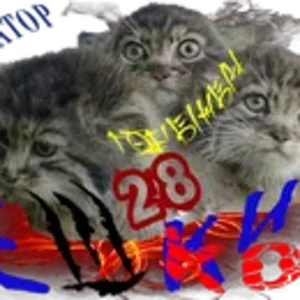 Ёшкин котИГ1.png