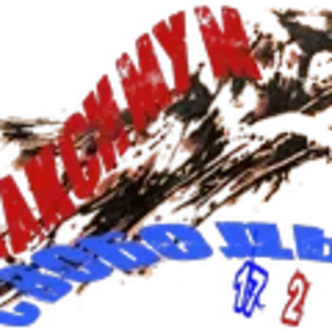 Максимум свободы2.png