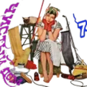 Чистый дом2 (2).png