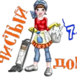 Чистый дом6.png