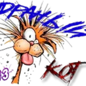 Драный Кот01.png