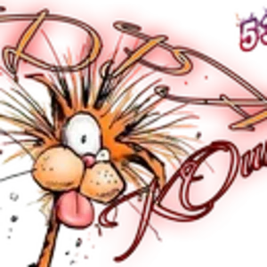 ДраКоши 01.png