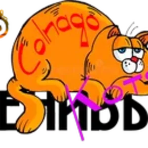 Ленивые Котяо ColnagoR.png