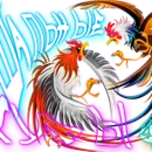 Шальные куры 01.png