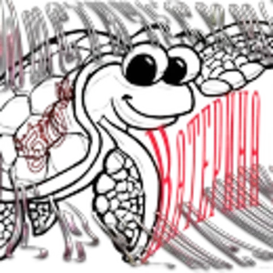 Мистические черепашки Катерина Ш.png