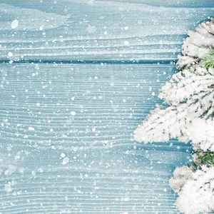 1500x500.webp