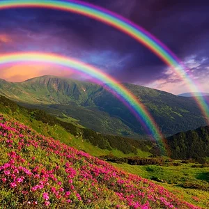 image_5d1f539e95bac.webp