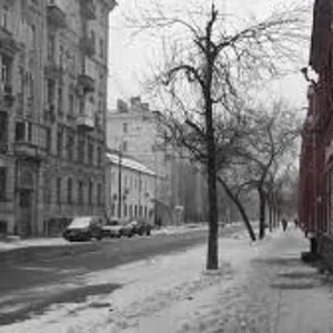 images (5).webp