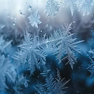 Снимок экрана 2026-02-09 184335.webp