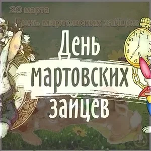 videoPreview.webp