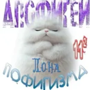 Апофигеи пофигизма Лона.webp